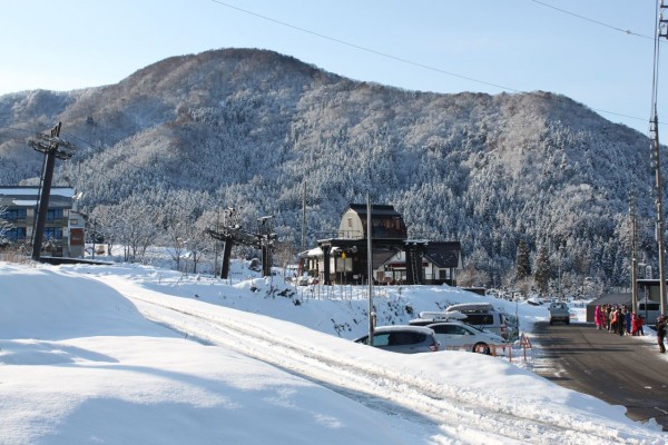 Blue Bird Morning at Karasawa