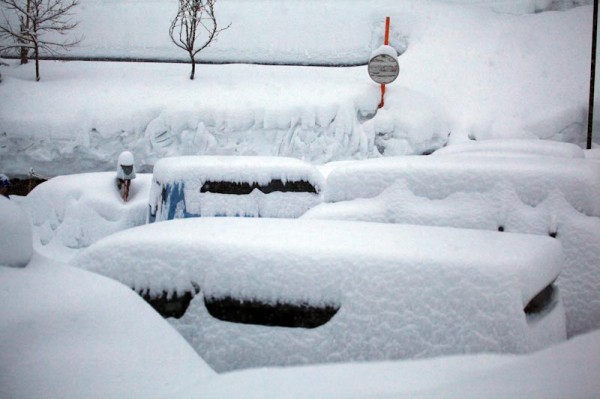 Magic Foot 30cm overnight in Nozawa-2