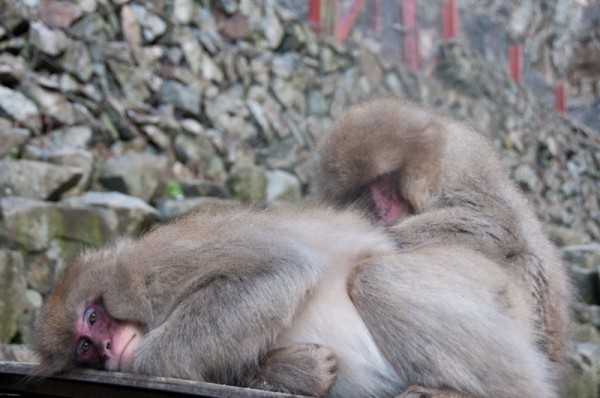 Sleep Time