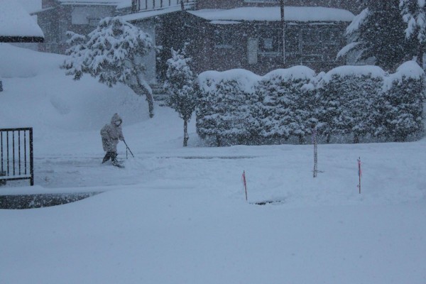 The battle with Mother Nature Continues