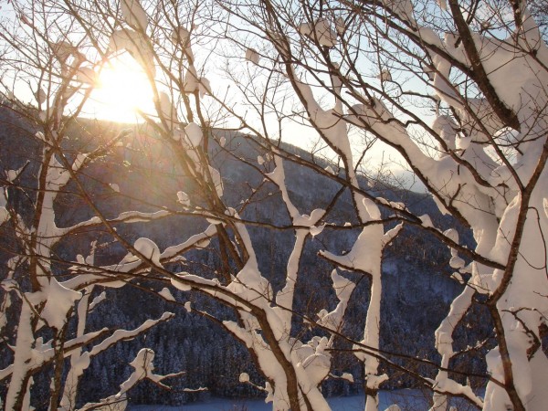 Rare Sunshine in Nozawa